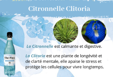 Thé Pays Citronnelle/Clitoria 50 cl