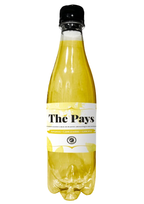 Thé Pays Ananas/Gingembre/Girofle 50 cl