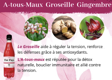 Thé Pays Atousmaux/Groseille/Gingembre 50 cl