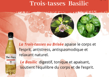 Thé Pays Trois-tasses/Basilic 50 cl
