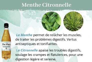 Thé Pays Menthe/Citronnelle 50 cl