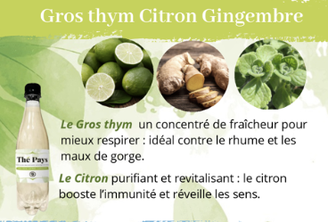 Thé Pays Gros-thym/Citron/Gingembre 50 cl