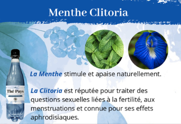 Thé Pays Menthe/Clitoria 50 cl
